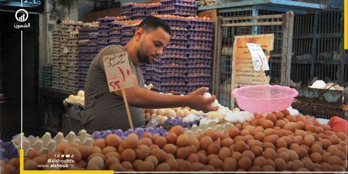 زيادة أسعار البيض