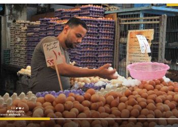 زيادة أسعار البيض