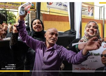 انصار السيسي