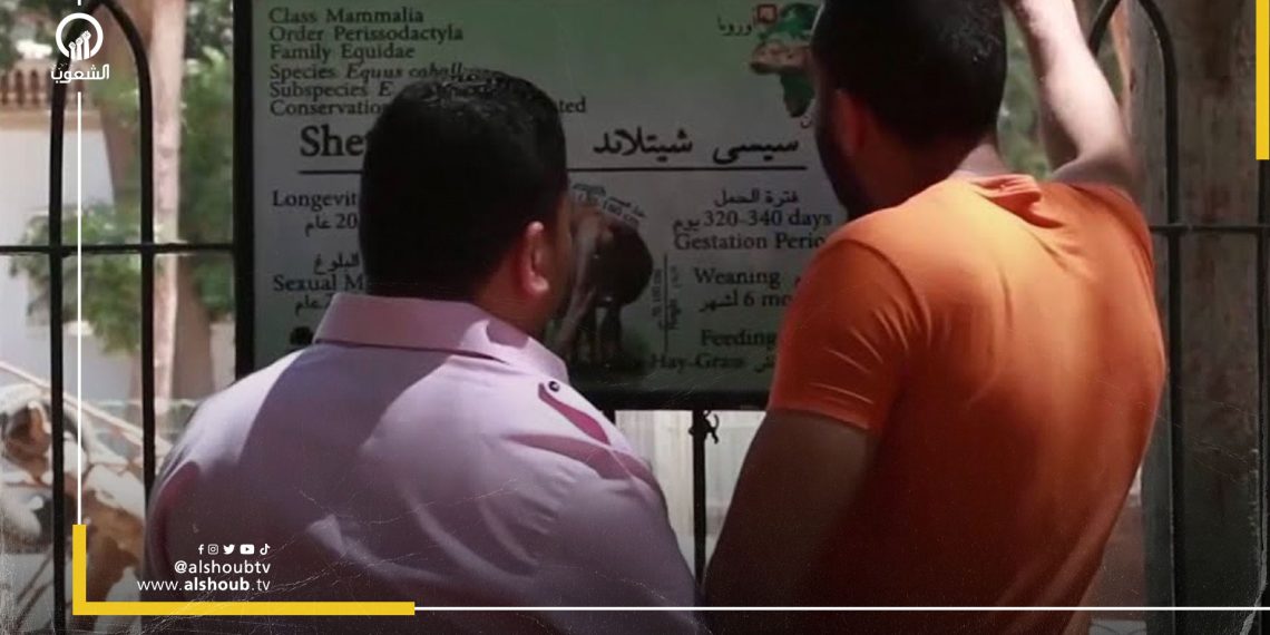 حصول الإمارات على حديقة الحيوان