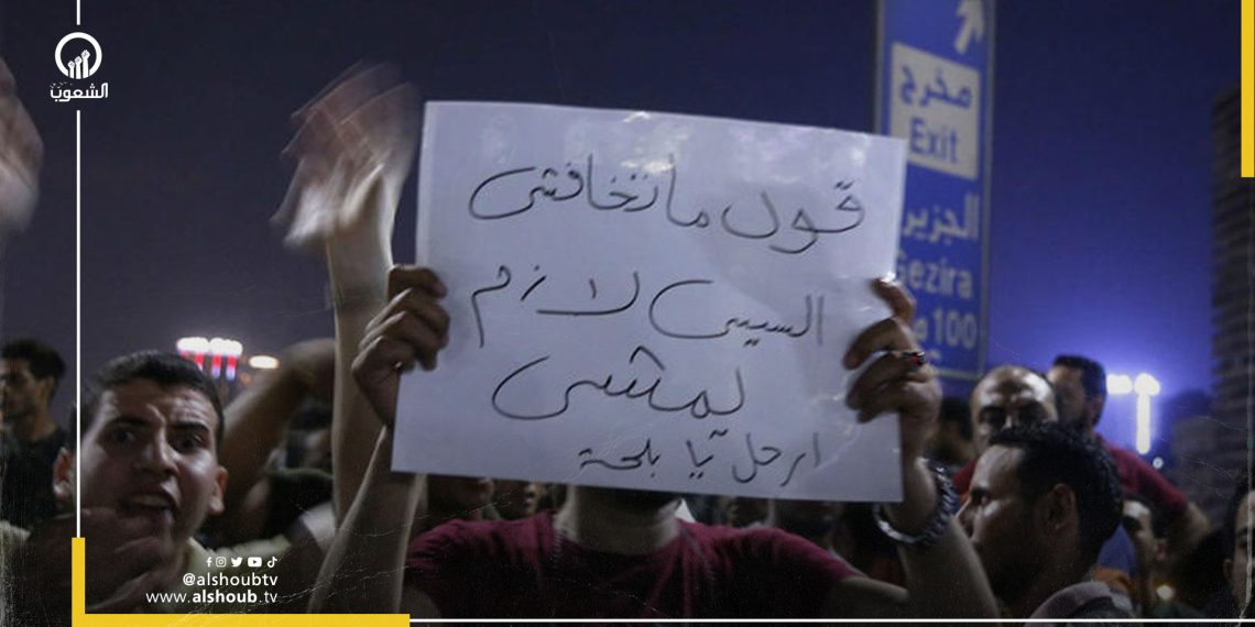 ارحل يا سيسي