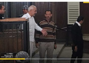 طالبوا بإطلاق سراحه.. خبراء أمميون يدينون الإهمال الصحي لـ "عبدالمنعم أبو الفتوح"