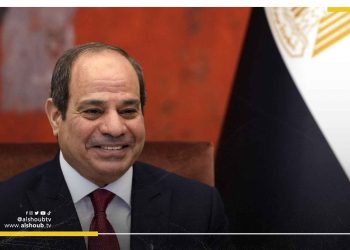 محذرًا من خطورة الوضع.. دبلوماسي صهيوني يدعو للحفاظ على نظام السيسي