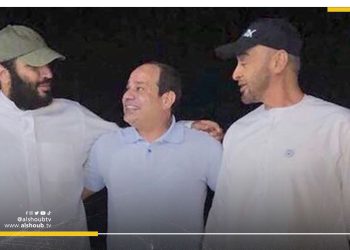 السيسي بن زايد بن سلمان