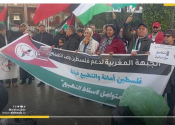 تضامن مع فلسطين