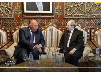 سامح شكري في سوريا