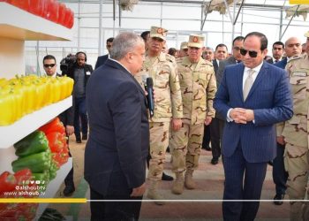 السيسي لن يخفف قبضة الجيش على الاقتصاد