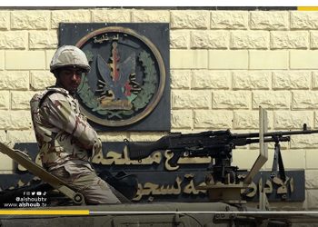 سجون السيسي