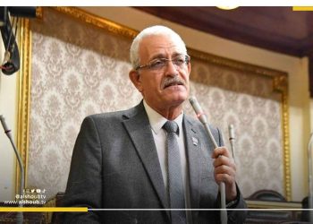 عضو ببرلمان السيسي يطالب بحظر استقالة الأطباء لمدة 10 سنوات