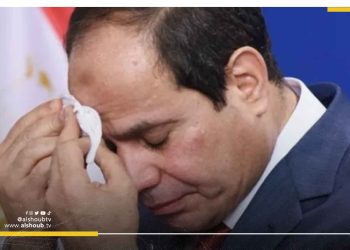 فورين بوليسي: مصر في موقف صعب بسبب حرب السودان 