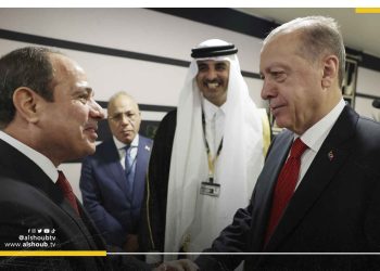 مصادر دبلوماسية: السيسي قد يزور تركيا عقب عيد الأضحى