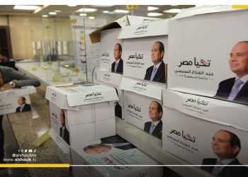 "الضمانات العملية" شرط جميلة إسماعيل لخوض انتخابات الرئاسة المصرية