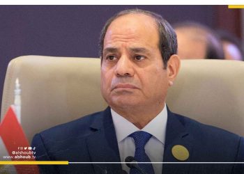 بسبب الأزمة الاقتصادية.. حكومة السيسي تعتمد بيع العقارات بالدولار بدلا من الجنيه