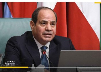 السيسي حصل على منصة استخباراتية من الاحتلال للتجسس على المصريين 