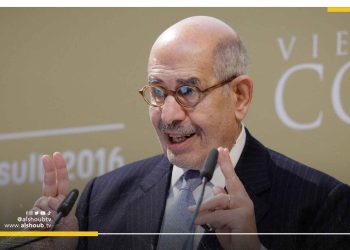 هجوم على البرادعي بسبب تغريدة عن شروط الانتقال للديمقراطية في مصر