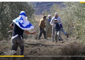ما يقرب من 600 اعتداء من مستوطنين على الأراضي الفلسطينية خلال 2023