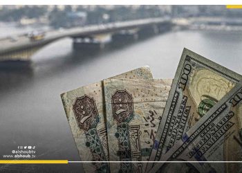 موقع إحصاء دولي: 510 مليار دولار ديون مصر عام 2028