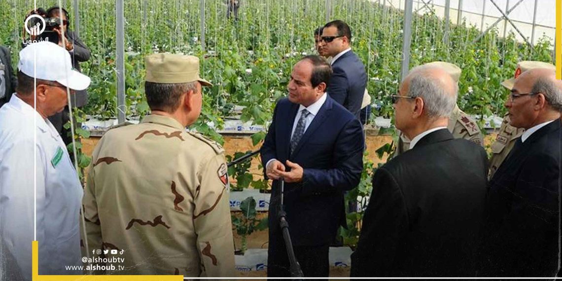 فساد بالجملة.. فيديو مسرب يفضح مشروع الصوب الزراعية في مصر