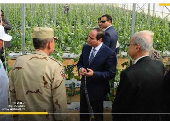 فساد بالجملة.. فيديو مسرب يفضح مشروع الصوب الزراعية في مصر