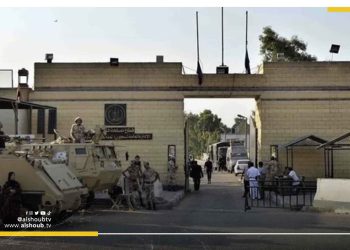 بعد إعتداء سجينات عليها.. الصحفية المعتقلة هالة فهمي تدخل إضرابًا عن الطعام