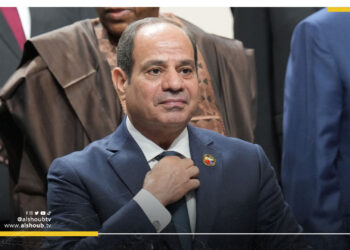 تراجع مساحات زراعة البنجر في مصر بنسبة 24%