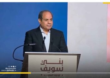 ميدل إيست آي: السيسي يحول مصر إلى "معسكر كبير"