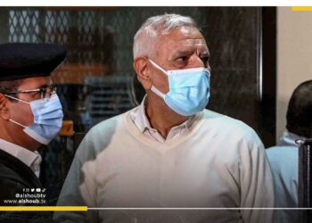 رفض أممي لتبريرات سلطات الانقلاب حول استمرار حبس عبدالمنعم أبوالفتوح