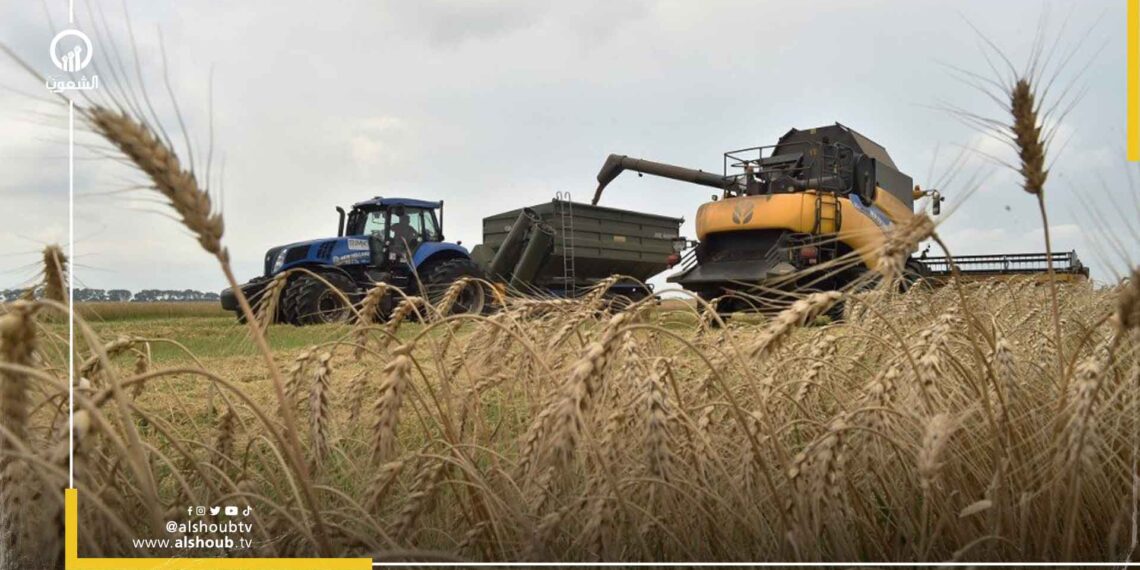 هدوء خادع.. كارنيجي: يتوقع فشل إحياء صفقة الحبوب