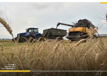 هدوء خادع.. كارنيجي: يتوقع فشل إحياء صفقة الحبوب