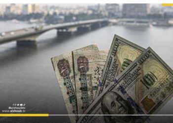 النقد الدولي: مصر ستنزف مالم تخفض قيمة عملتها