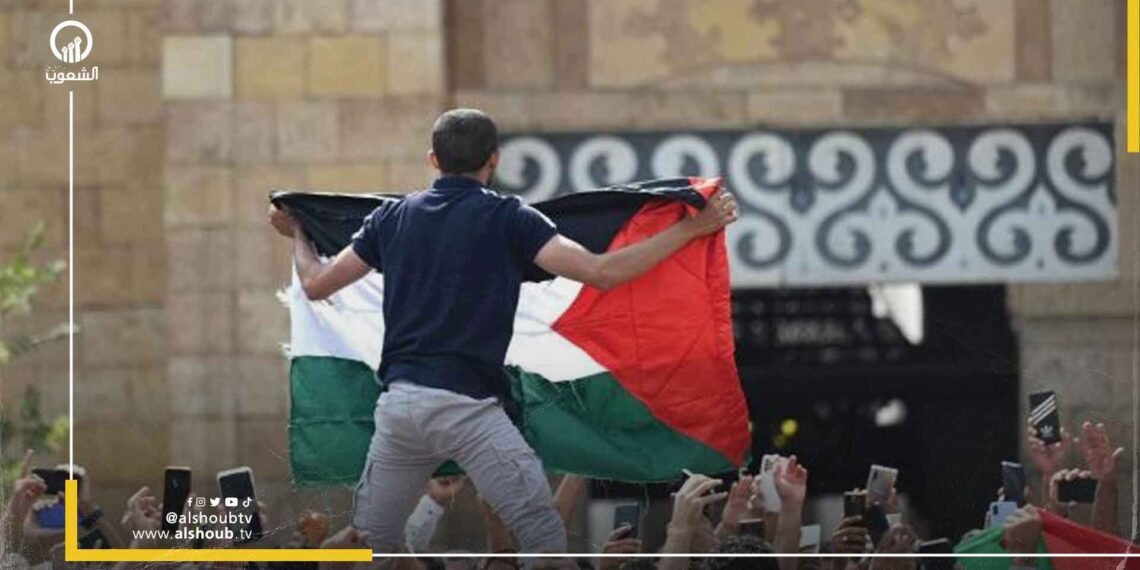 حفاوة مصرية بتظاهرات دعم غزة