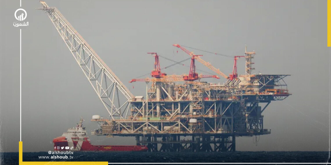 البرادعي: عبد السند يمامة مرشحي المفضل في الانتخابات الرئاسية