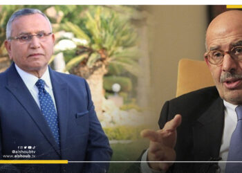 البرادعي: عبد السند يمامة مرشحي المفضل في الانتخابات الرئاسية