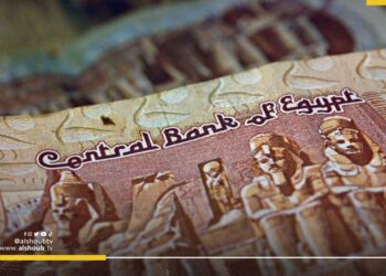 خبراء ينتابهم التشاؤم بشأن مصير الجنيه المصري