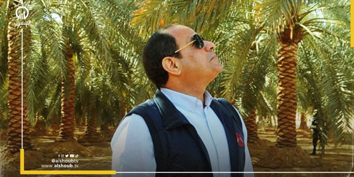 بقرار من السيسي.. تخصيص 468 ألف فدان بمنطقة توشكى لصالح الجيش