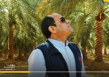 بقرار من السيسي.. تخصيص 468 ألف فدان بمنطقة توشكى لصالح الجيش