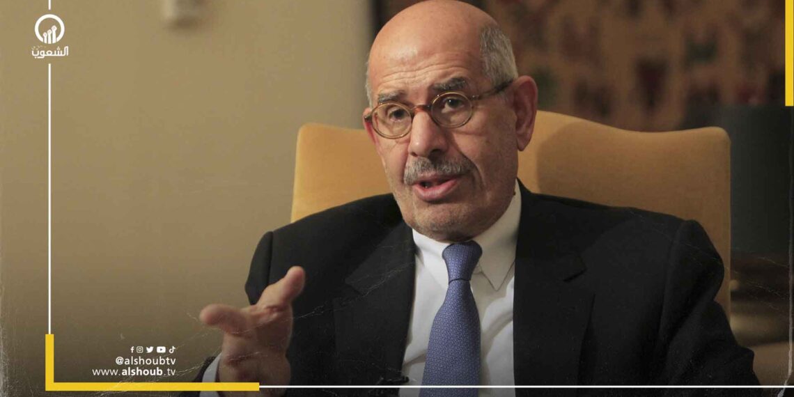 البرادعي ينتقد الموقف العربي إزاء جرائم الاحتلال في غزة