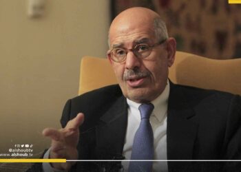 البرادعي ينتقد الموقف العربي إزاء جرائم الاحتلال في غزة