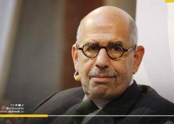 البرادعي يحذر من مخطط الاحتلال لتهجير سكان غزة