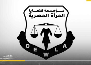 بسبب إدانتها للاحتلال.. ألمانيا تعاقب مؤسسة حقوقية مصرية