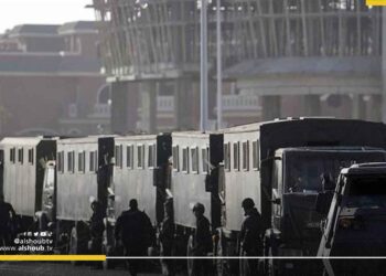 بسبب مناصرتهم للقضية الفلسطينية.. تنديد حقوقي بترحيل السلطات المصرية لنشطاء أجانب