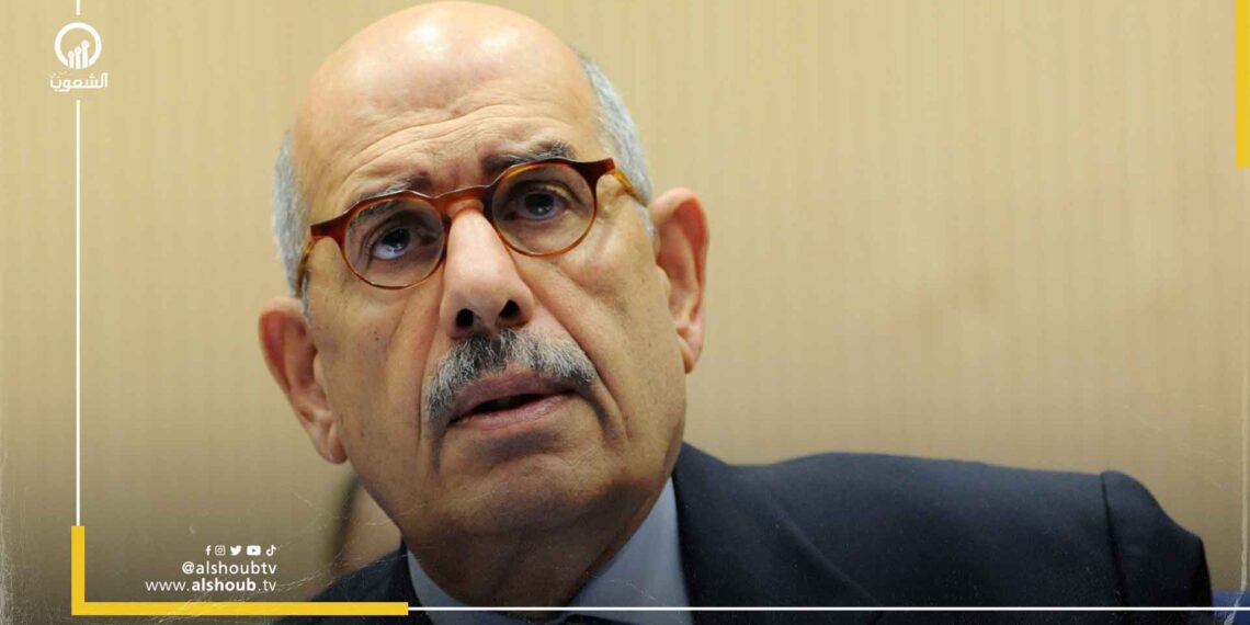 البرادعي: الوضع العربي اليوم عاجز وبائس