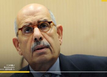 البرادعي: الوضع العربي اليوم عاجز وبائس