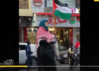 مسنة مصرية تتظاهر وحيدة لدعم فلسطين (فيديو)