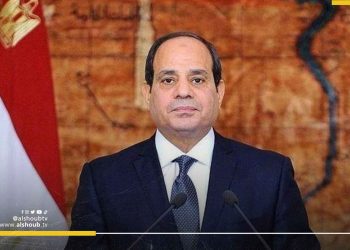 السيسي يحذر إثيوبيا بسبب الصومال.. ومحدش يجرب مصر