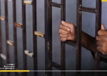 السجن المؤبد بحق 14 معتقلًا في قضية خلية المطرية