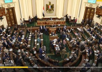 البرلمان المصري يمرر قانونا يعزز دور الجيش في حماية المنشآت 