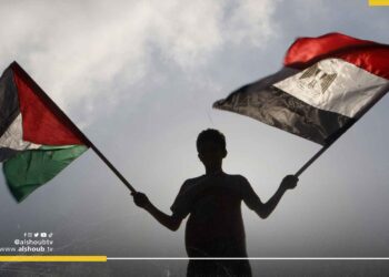 هيئات فلسطينية تطالب مصر بتحمل مسؤولياتها تجاه وقف العدوان الإسرائيلي على غزة