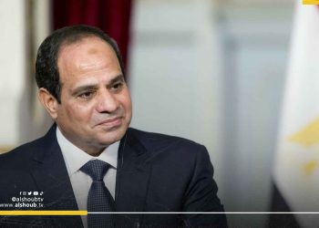 لجمع ملياري دولار.. مصر تتجه لبيع 25 شركة بقطاع الأعمال 