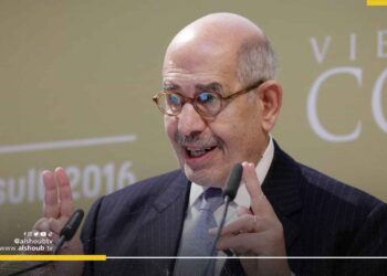 بعد دعوى جنوب أفريقيا ضد الاحتلال في العدل الدولية.. البرادعي: عدم مشاركة الأنظمة العربية وصمة عار